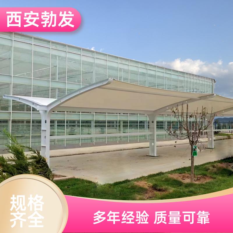 厂区 电动车充电雨棚 维护成本低 尺寸按需定做 安全耐用 勃发