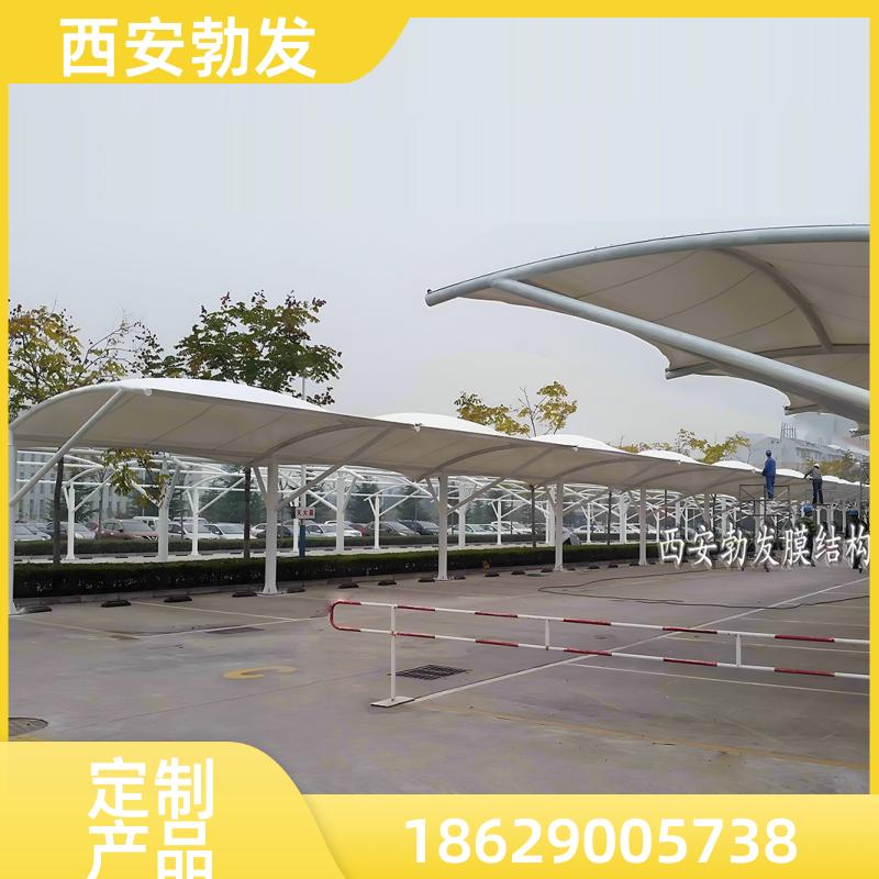 勃发 园区 户外停车位雨棚 简约美观 按尺寸定制 拆卸方便
