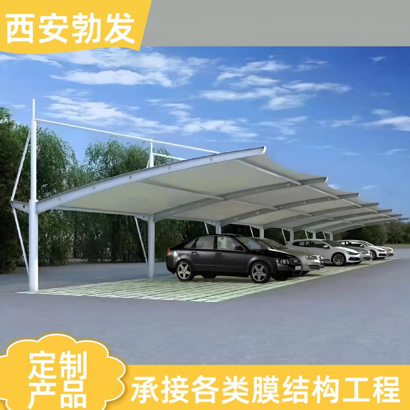 小区 小汽车遮阳棚 防水防紫外线 测量非标定制 国内上门安装 勃发